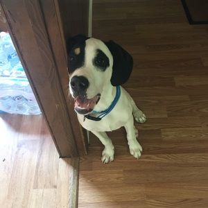 Meet your Posher, Yohana